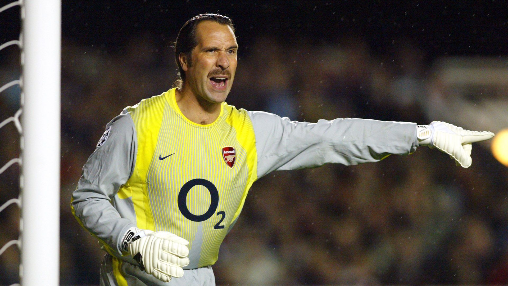 David Seaman Arsenal Premier League