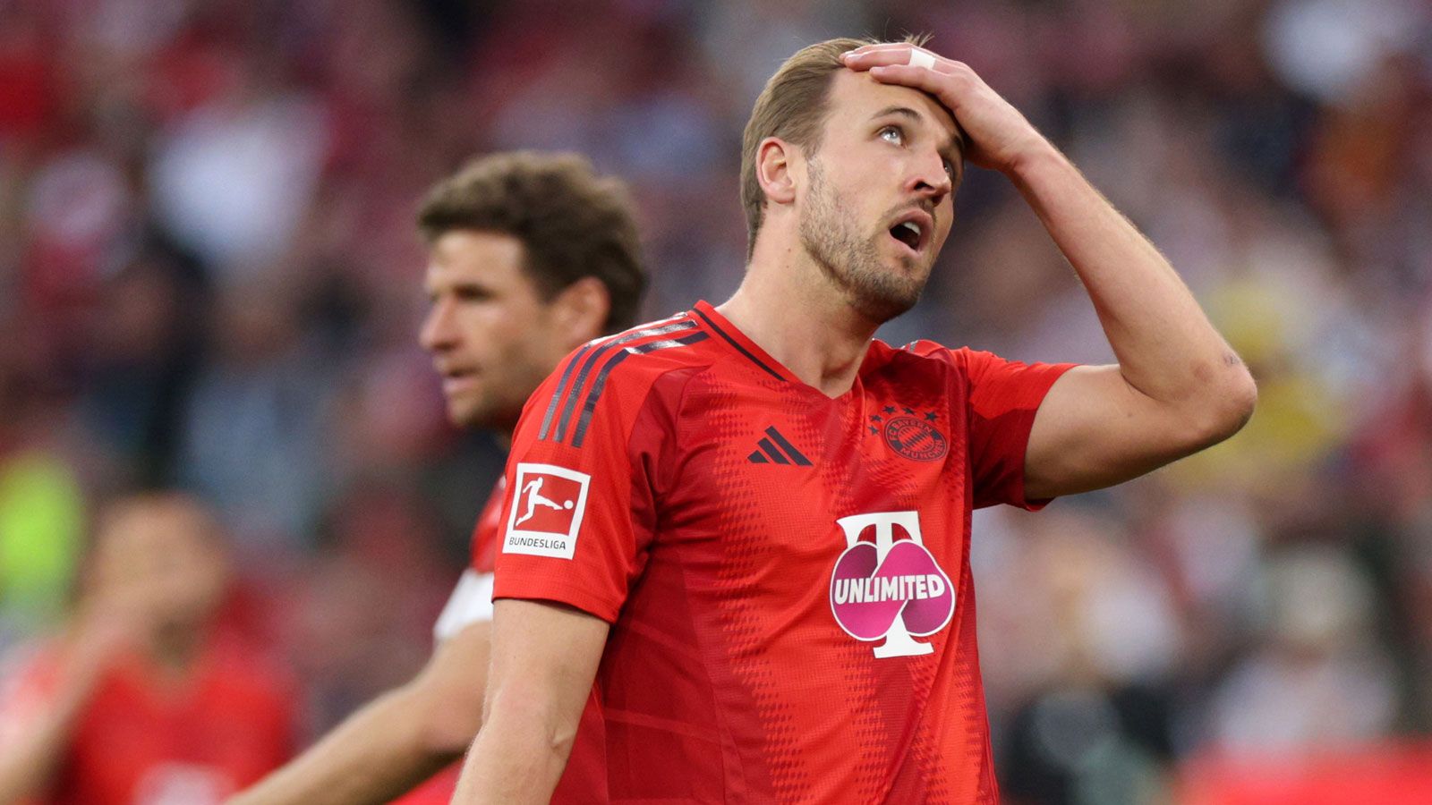 "Ich würde Harry Kane verkaufen": Möglicher Nachfolger erteilt dem Superstar vom FC Bayern München eine heftige Abfuhr