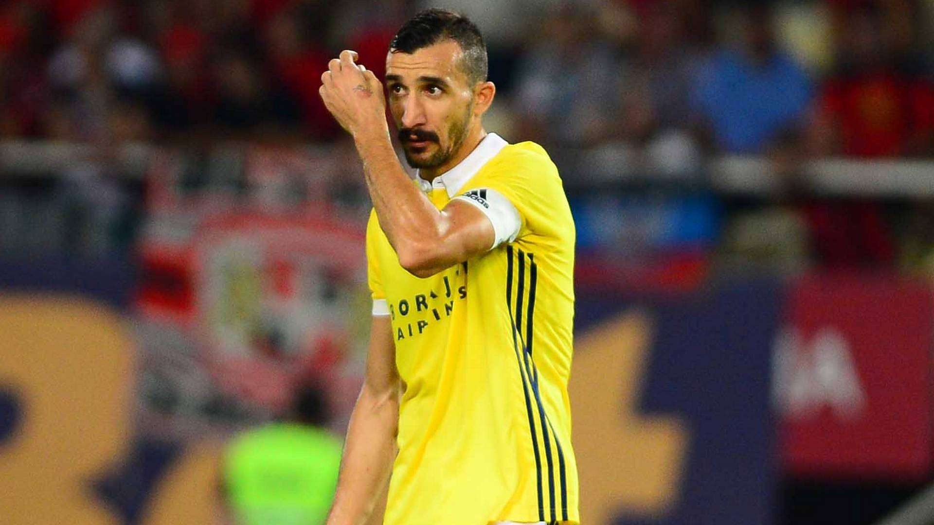 Mehmet Topal Fenerbahce