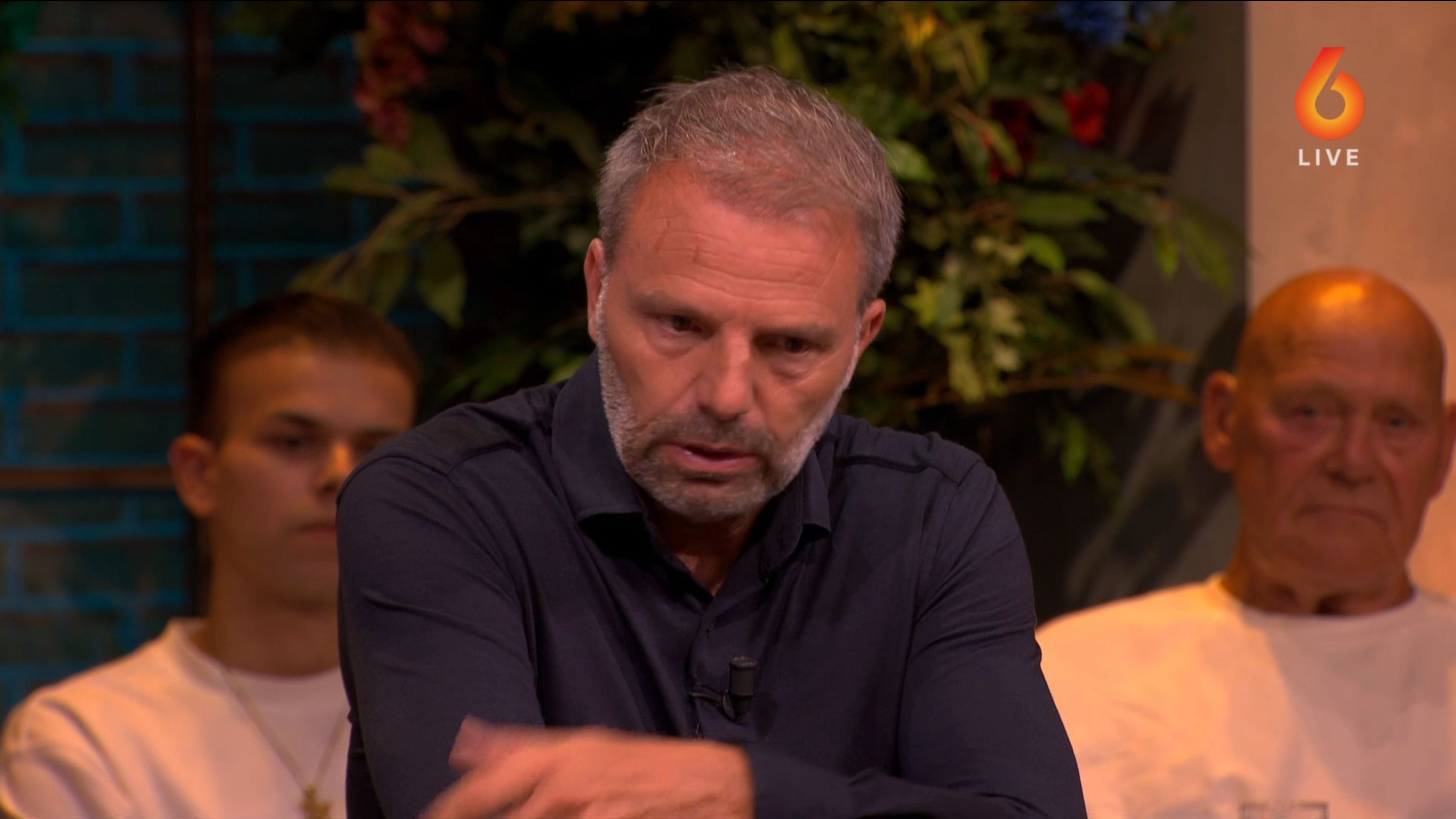 Steijn