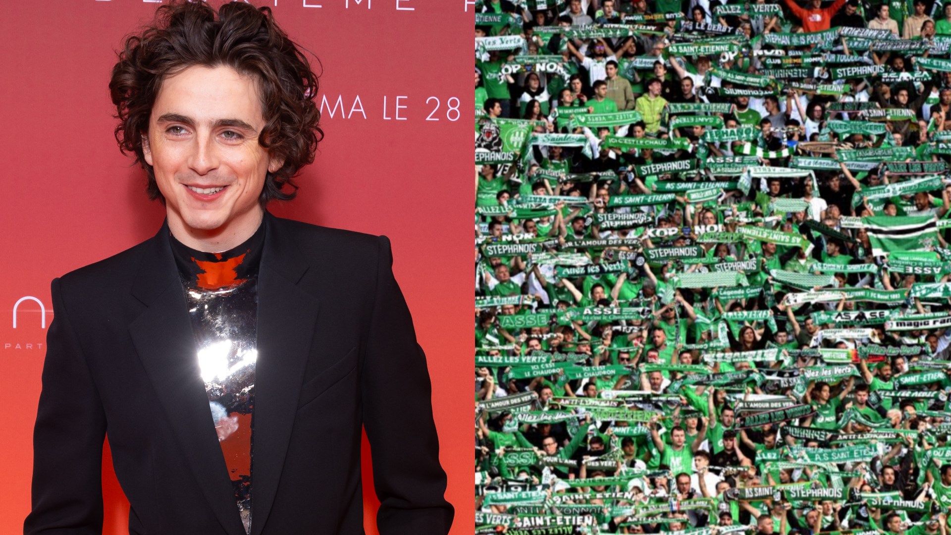 Timothee Chalamet is a Saint-Etienne fan