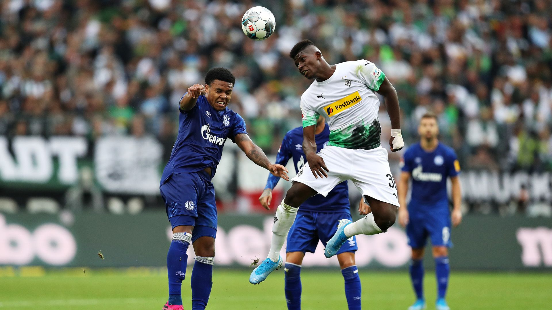 Gladbach Schalke 2019