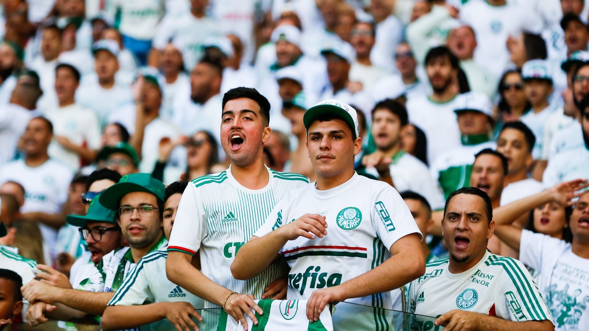 Palmeiras fans