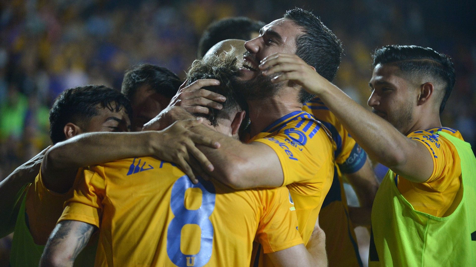 Tigres Apertura 2024