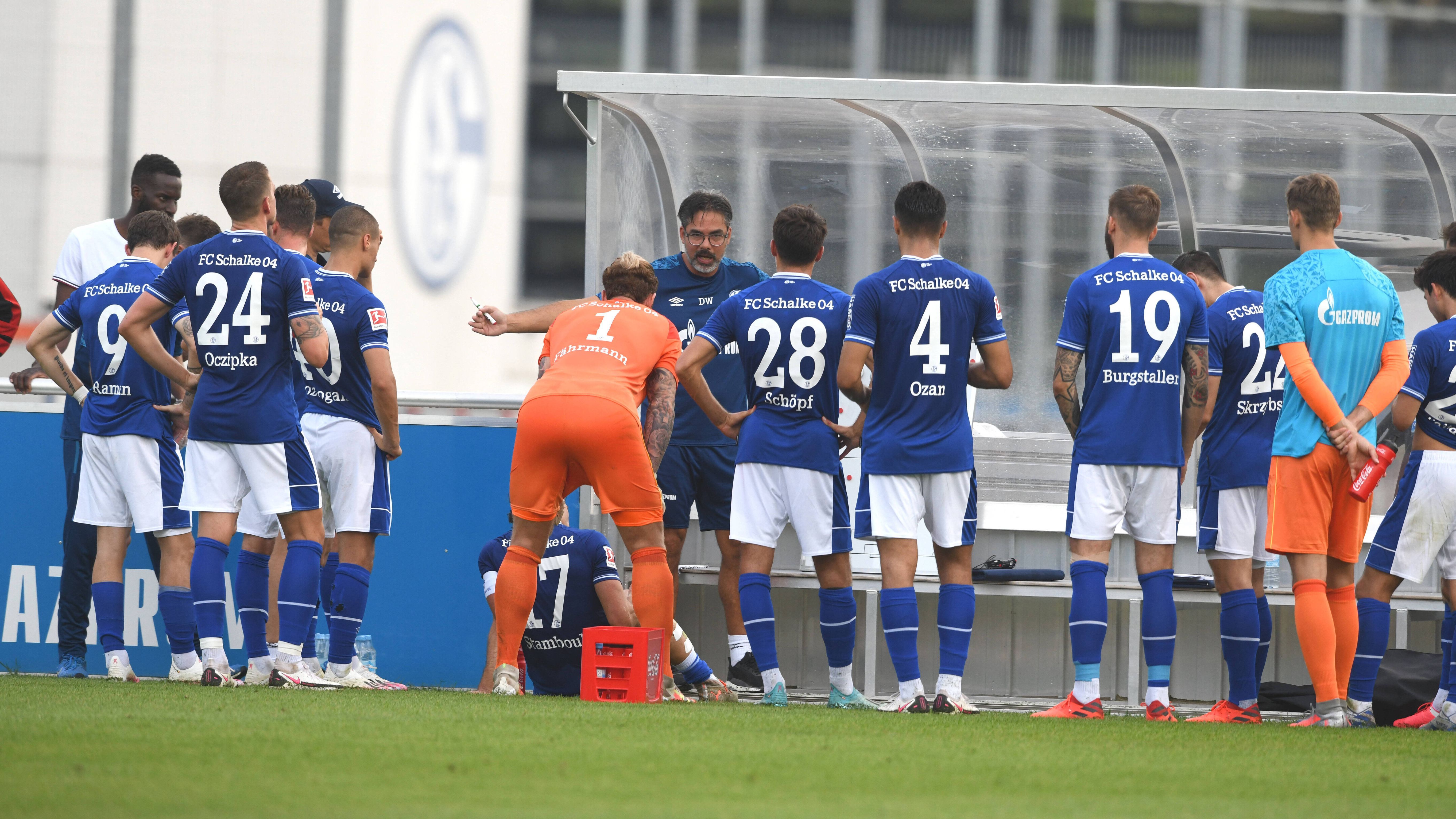 GER ONLY Schalke Verl