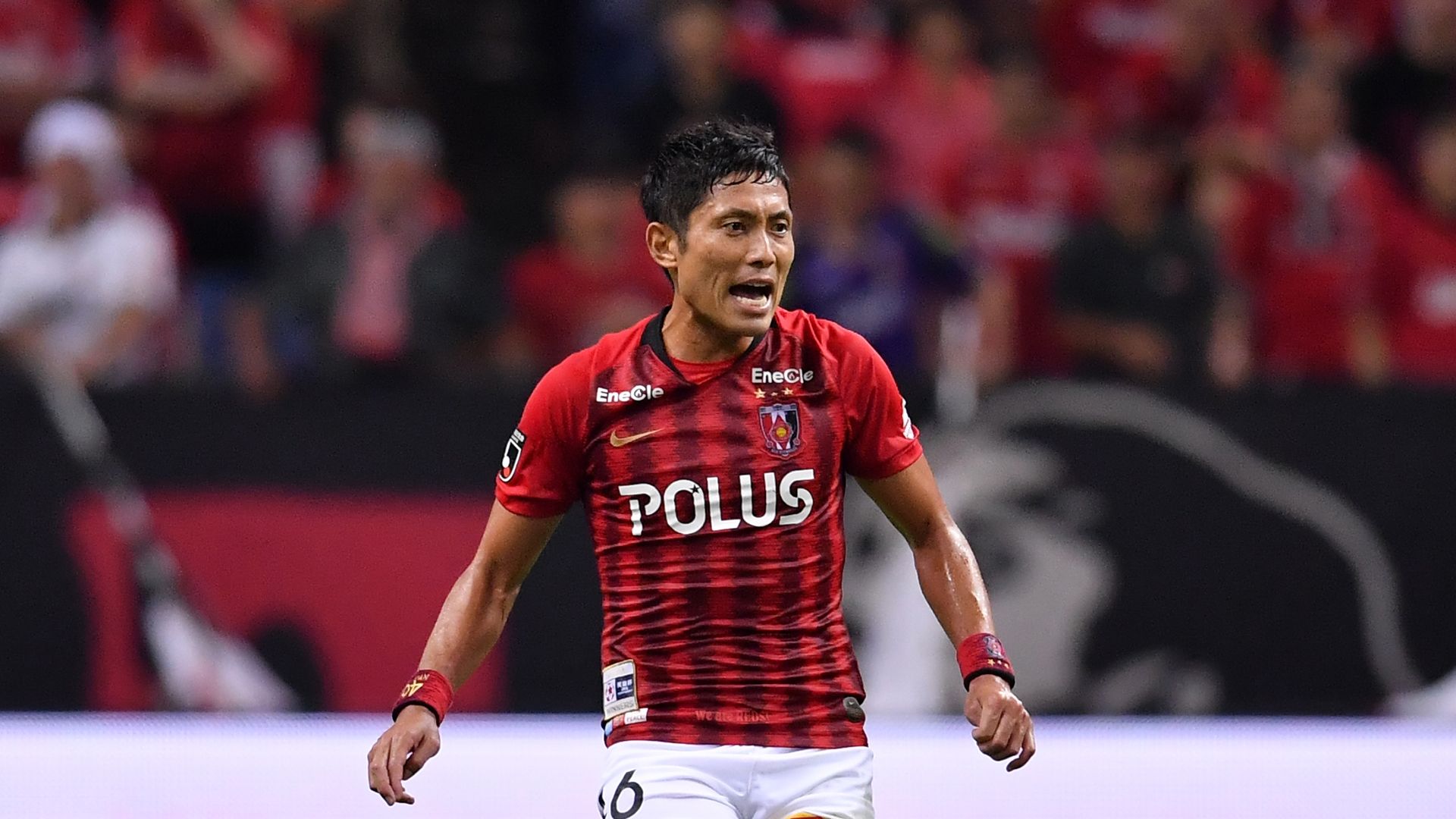 dfd288e3aa230cf748ddc0dce22e40