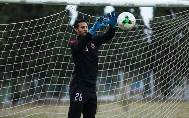 محمد الشناوي