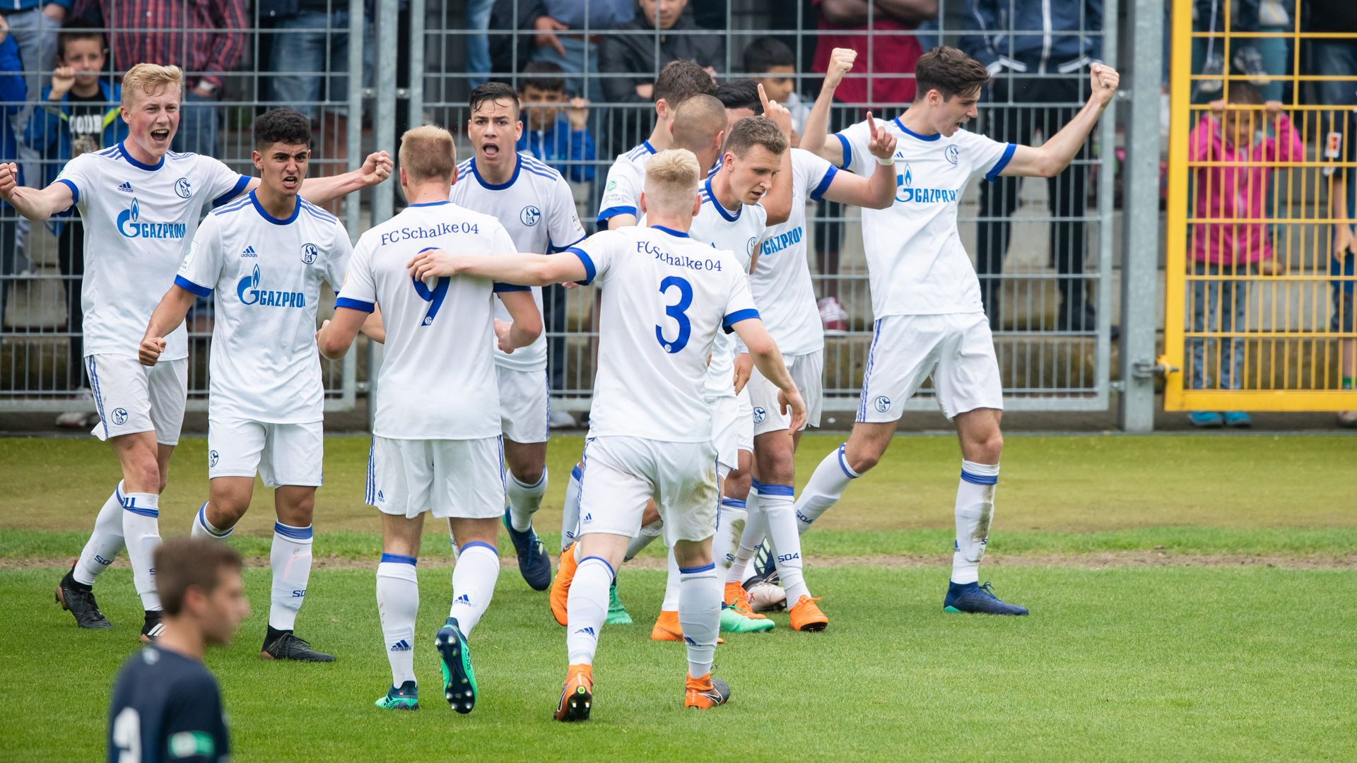 Schalke U19 Hoffenheim U19 0518