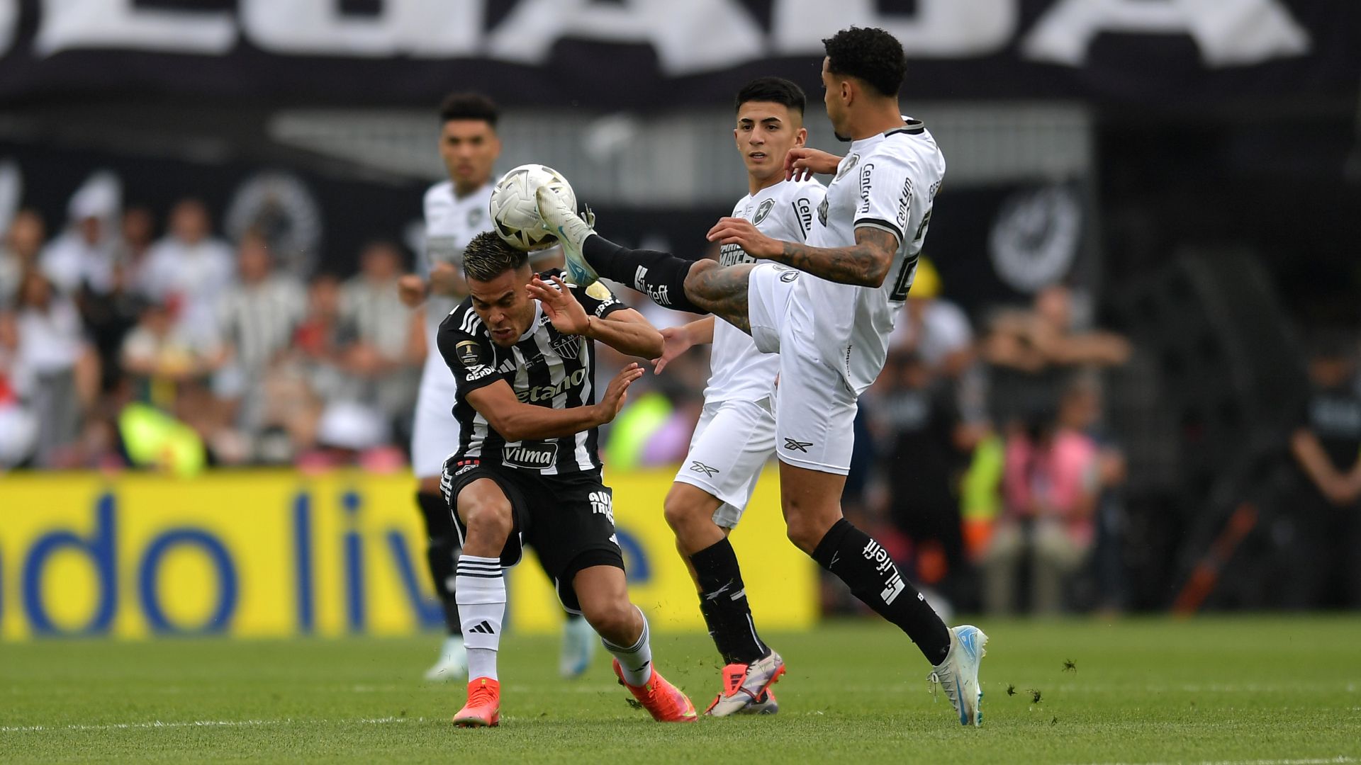 Gregore Atletico Mineiro Botafogo