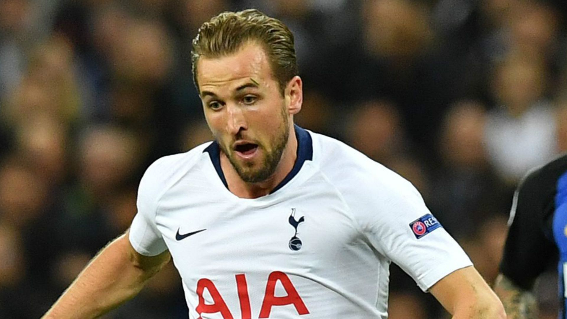 Harry Kane Tottenham 2018-19