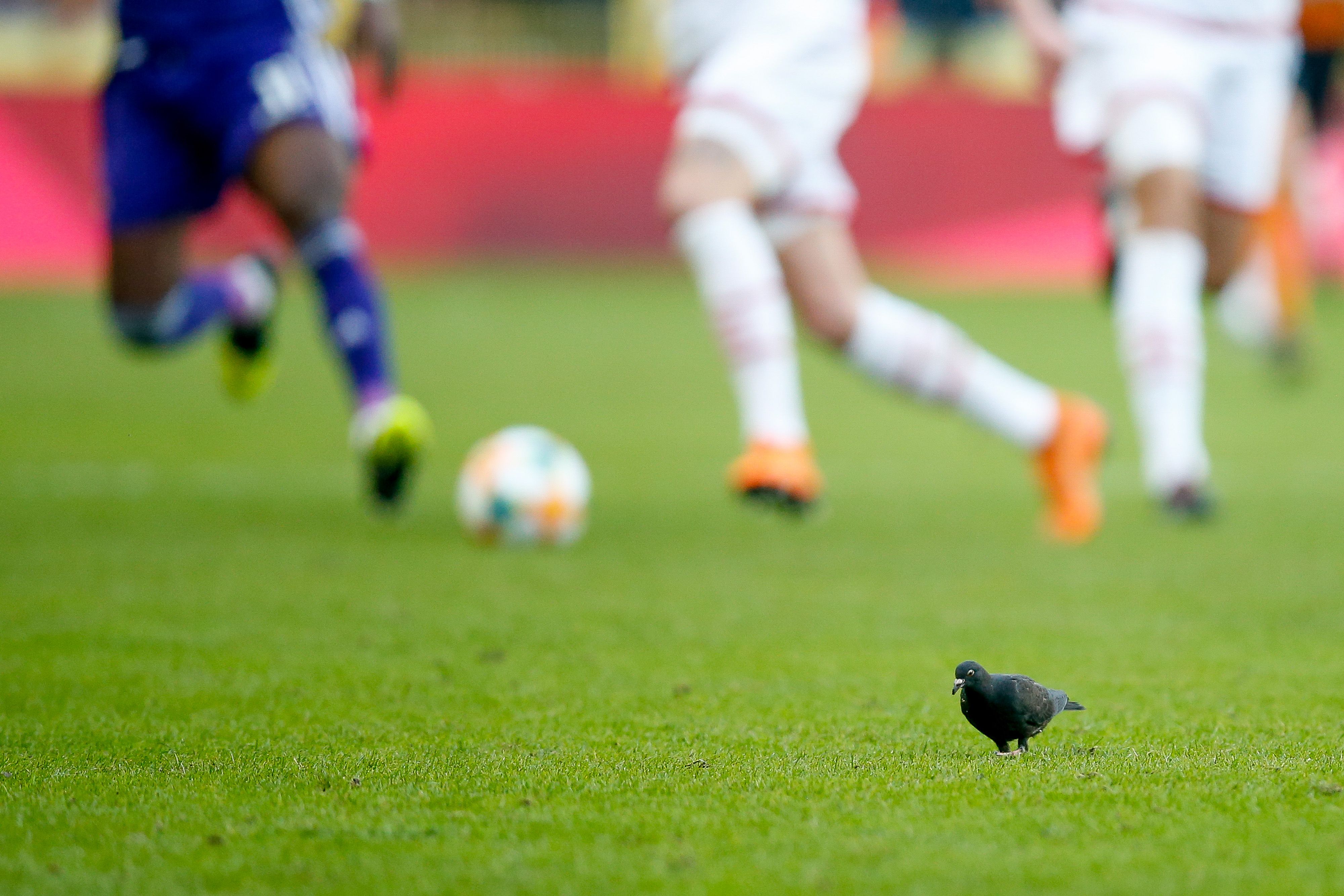 Sunday League football