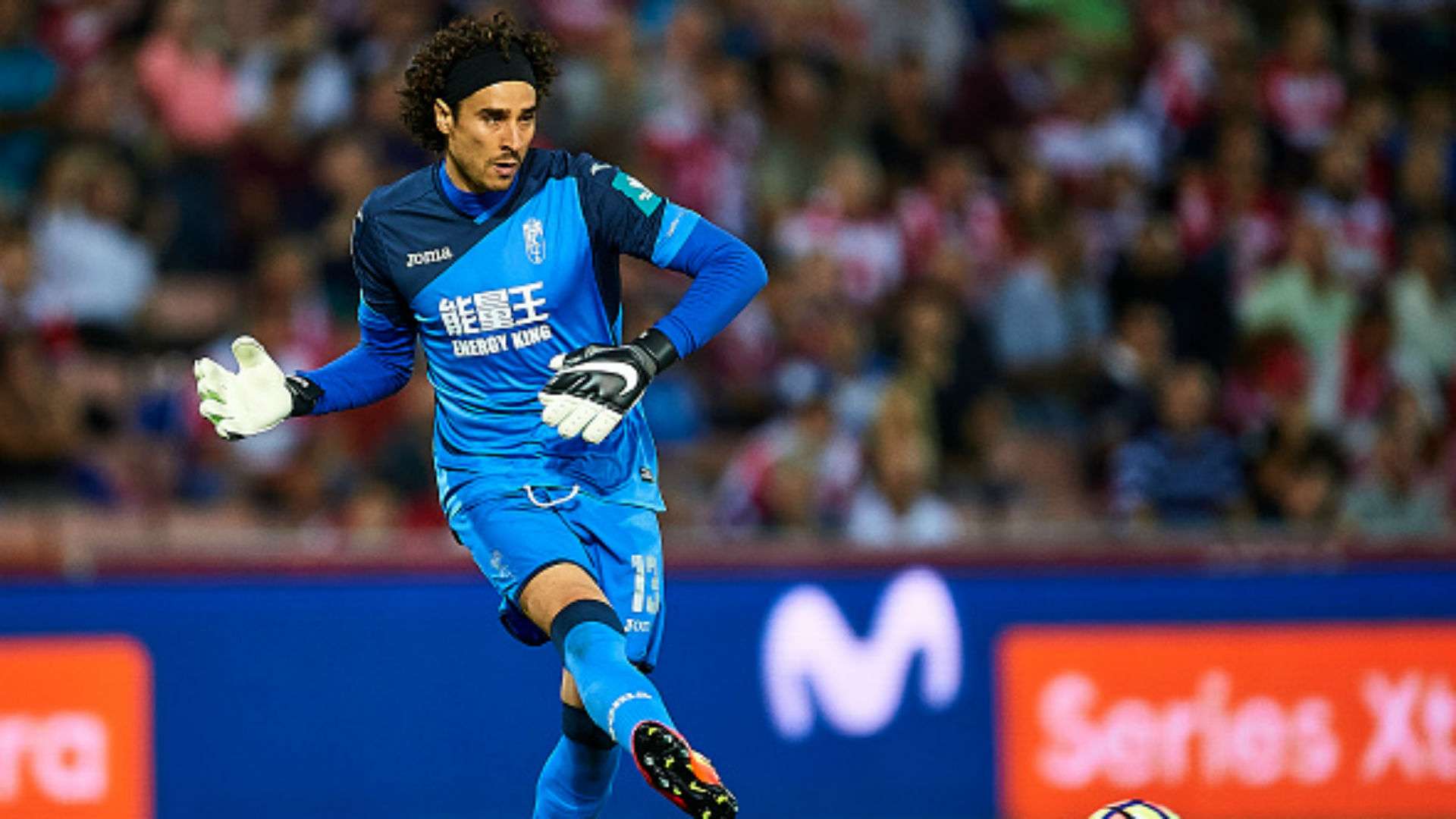 1foh21r95ivr31arxlnvry8cv8