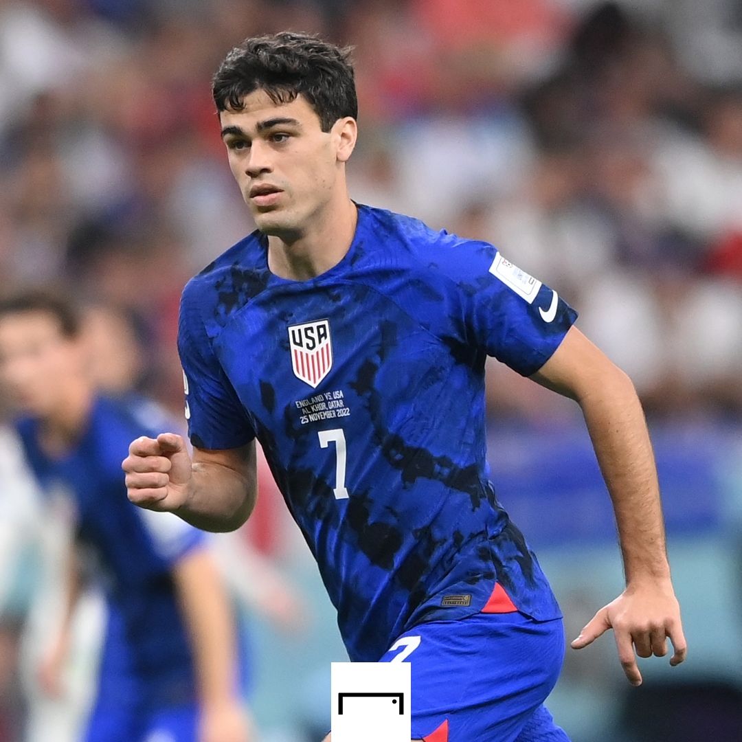 Gio Reyna USMNT 2022 World Cup GFX