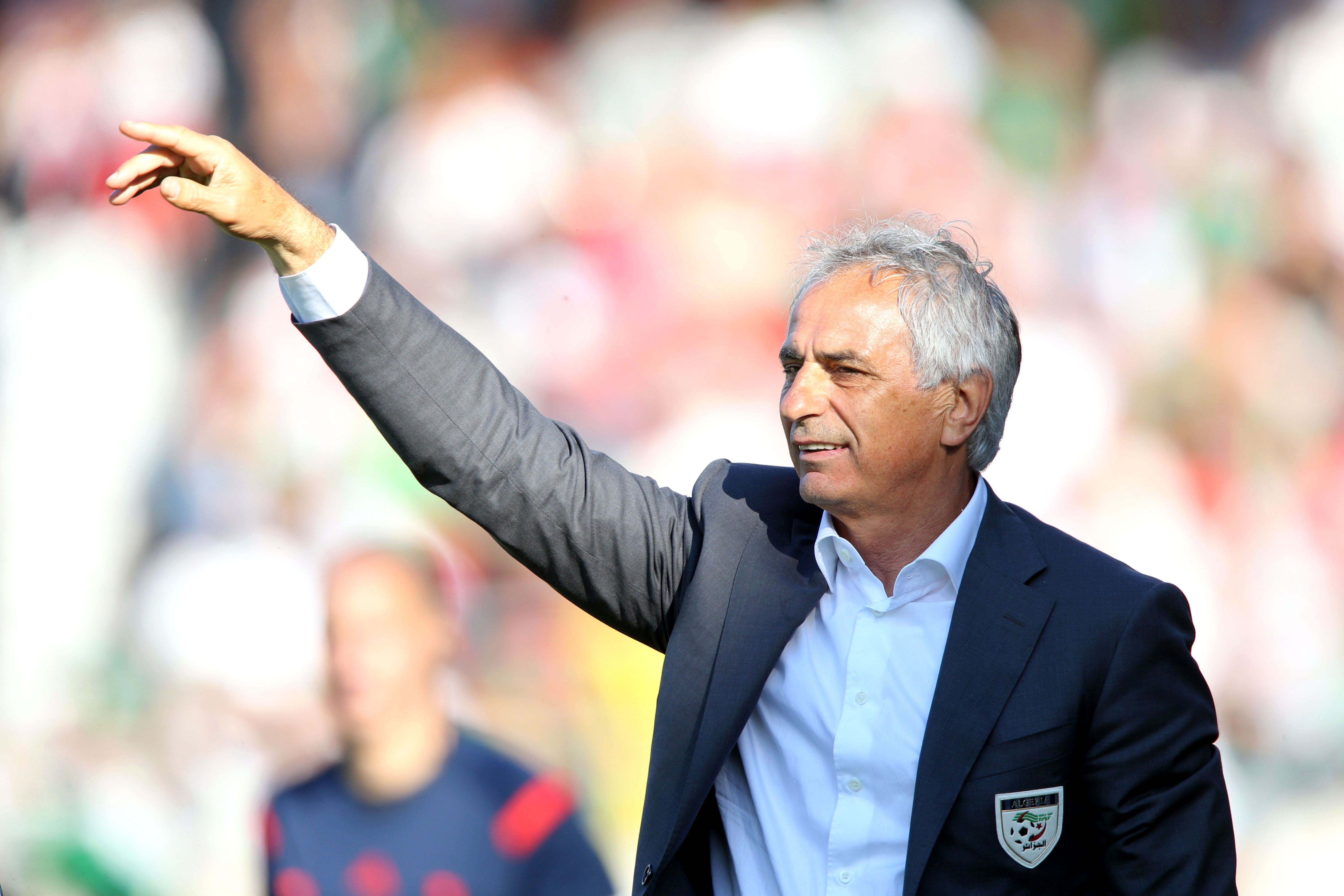 Algeria coach Vahid Halihodzic