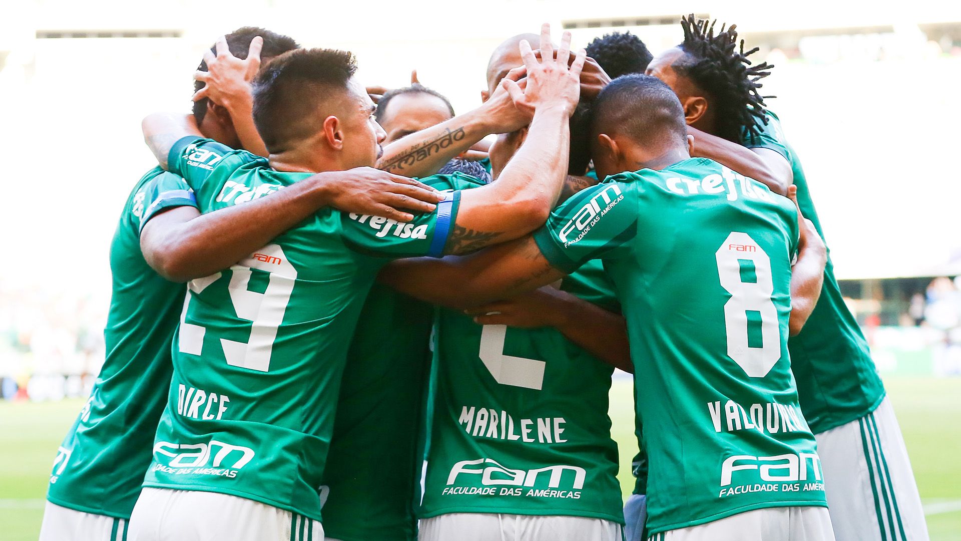 Palmeiras Vasco Brasileirao Serie A 14052017