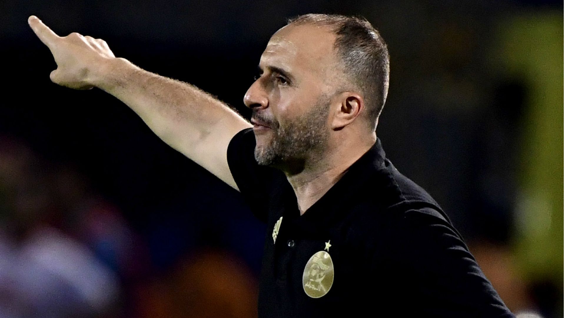 Djamel Belmadi - Algeria coach