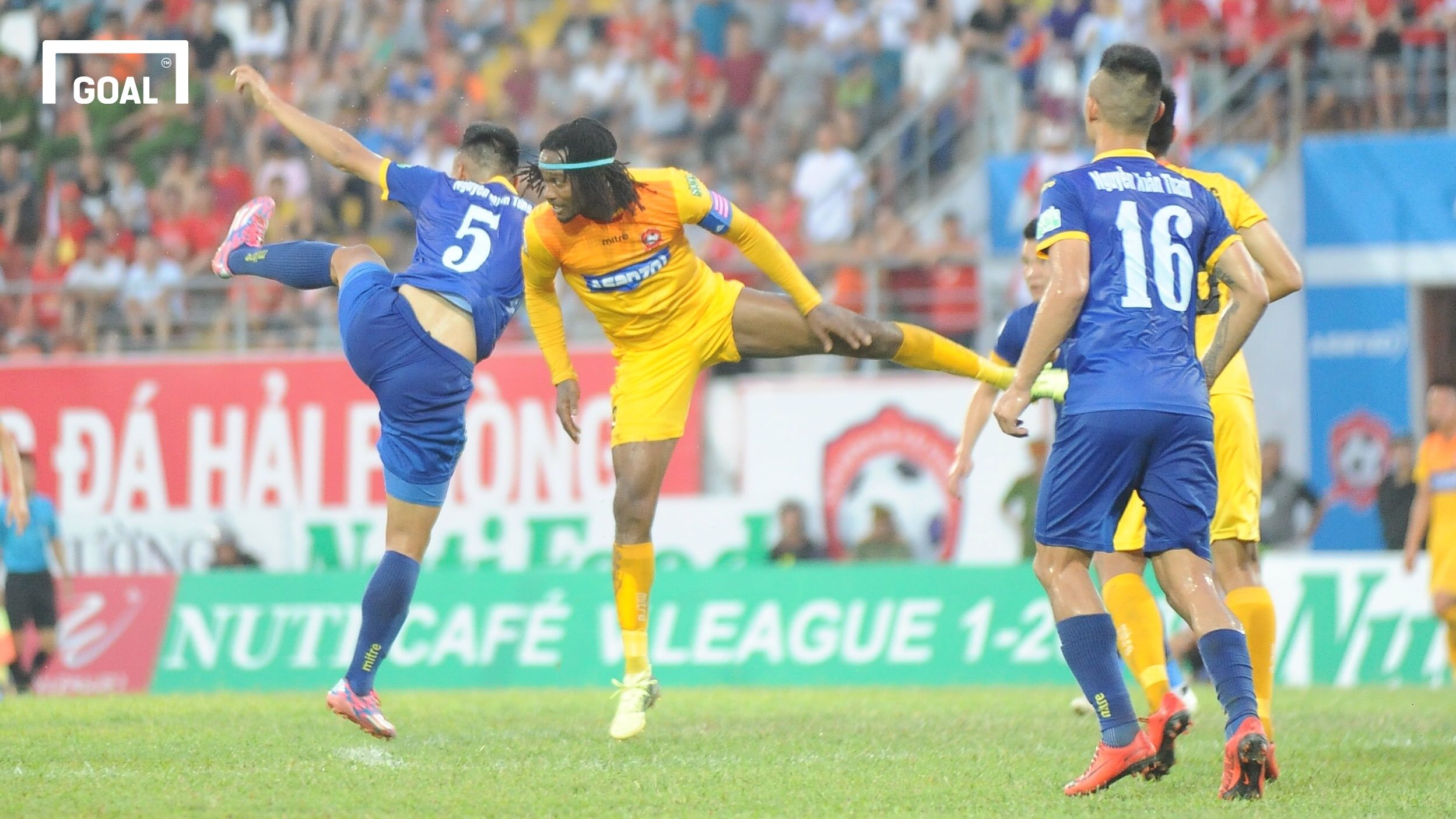 Hải Phòng vs Thanh Hóa