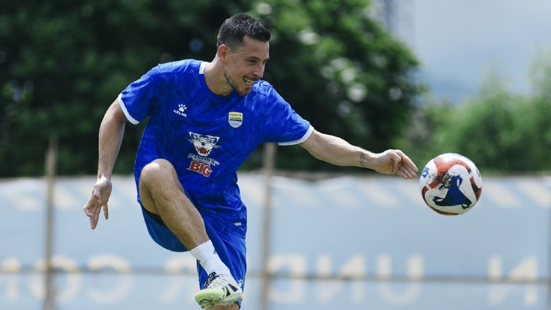 Thom Haye - Persib Bandung