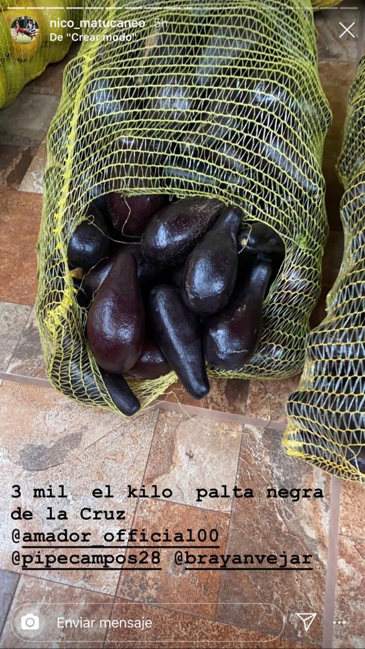 Ventas Nico Maturana