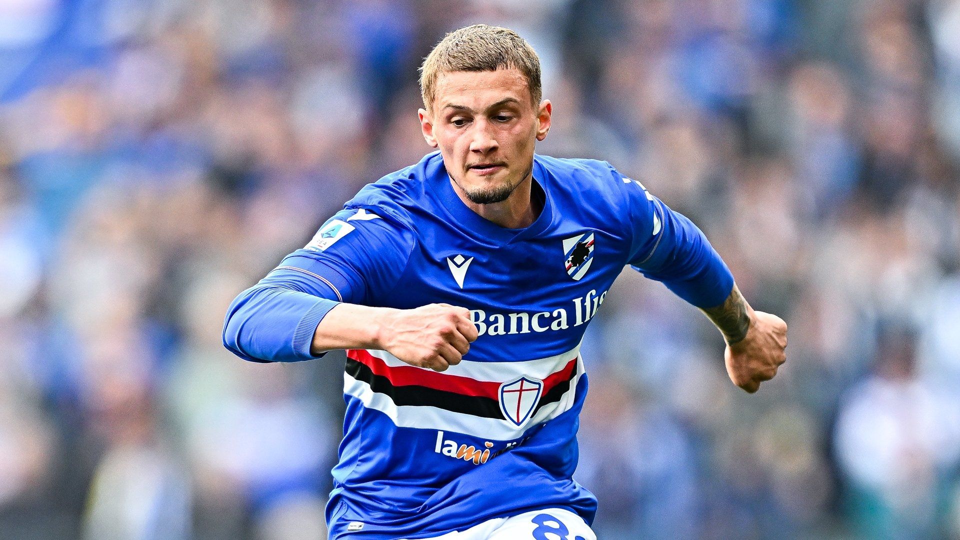 Michael Cuisance Sampdoria 2023
