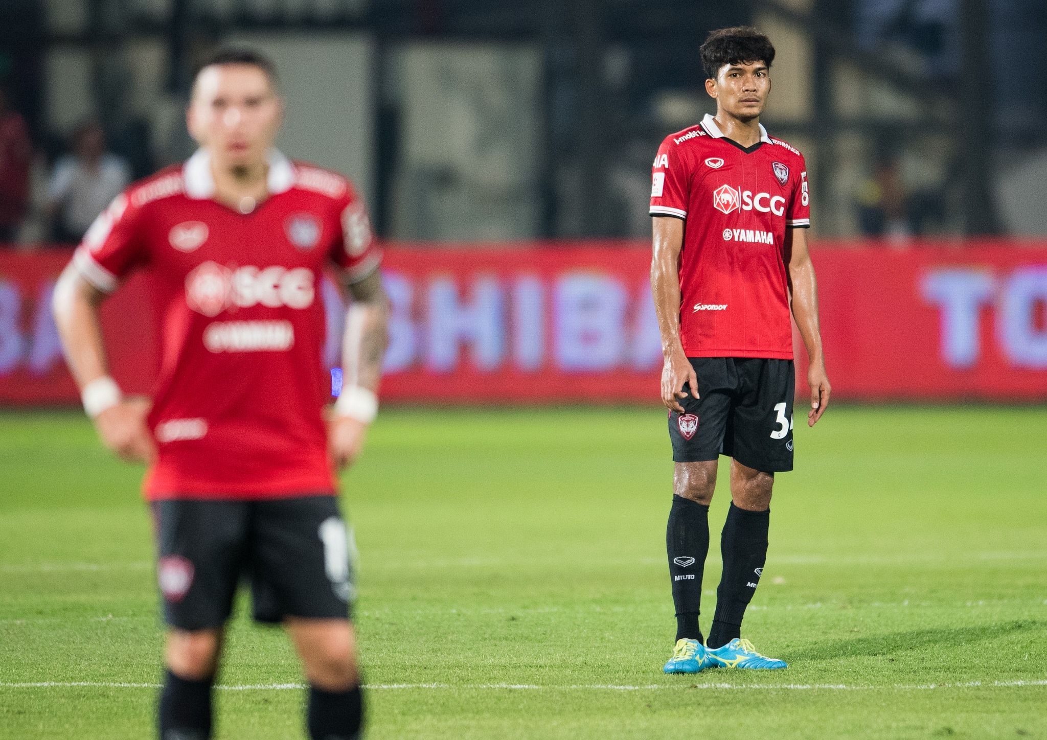 วัฒนา พลายนุ่ม