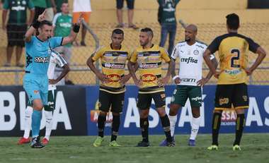 VAR é acionado em Novorizontino x Palmeiras