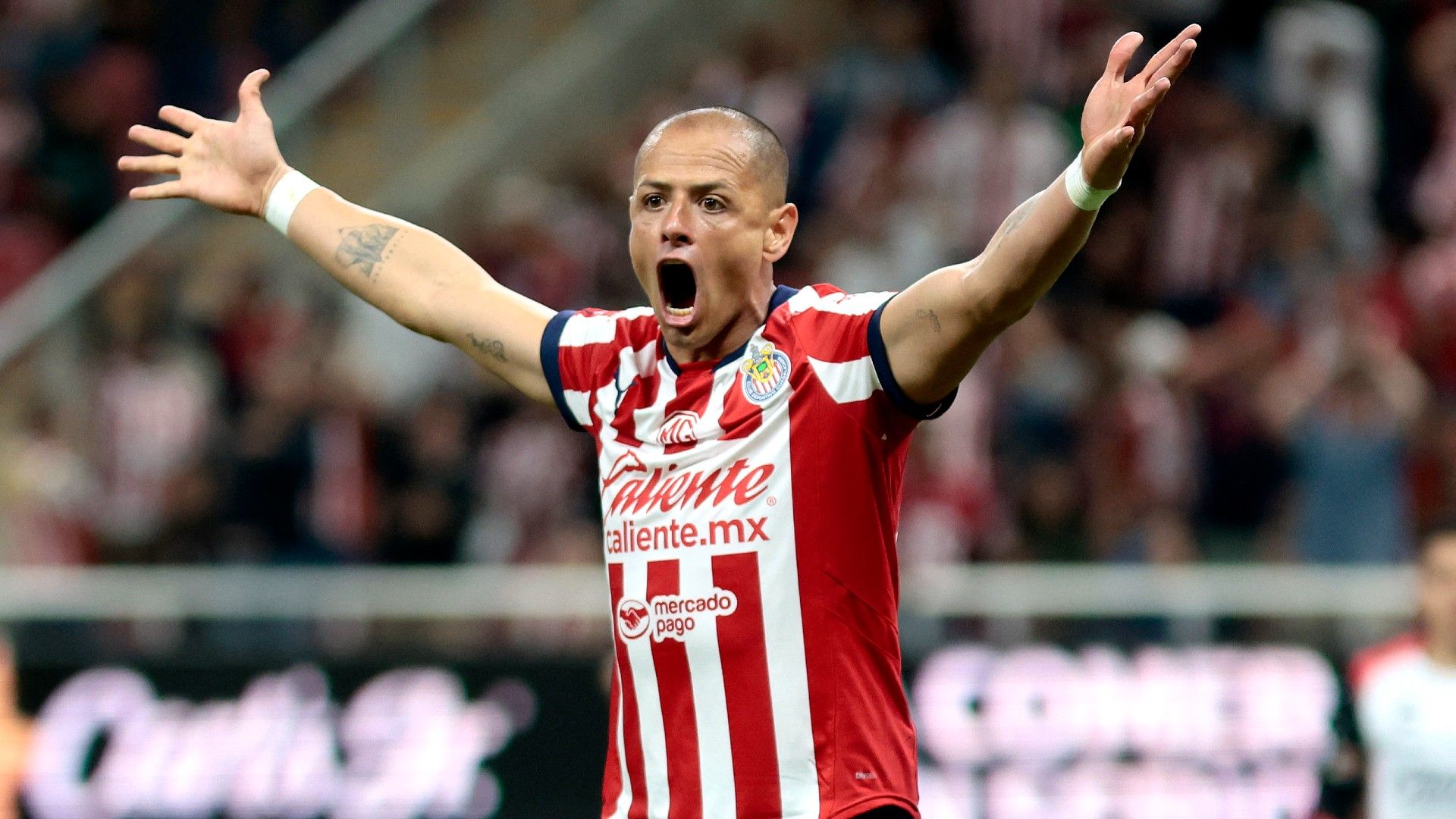 Chicharito Hernández Chivas Liga MX Apertura 2024
