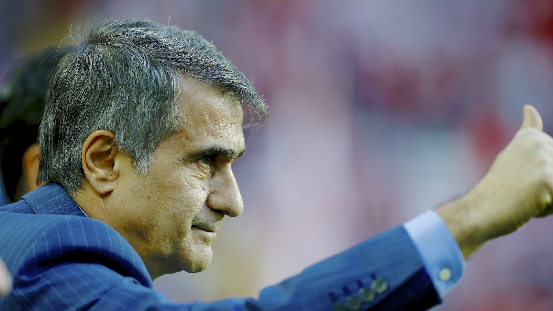 Senol Gunes Besiktas