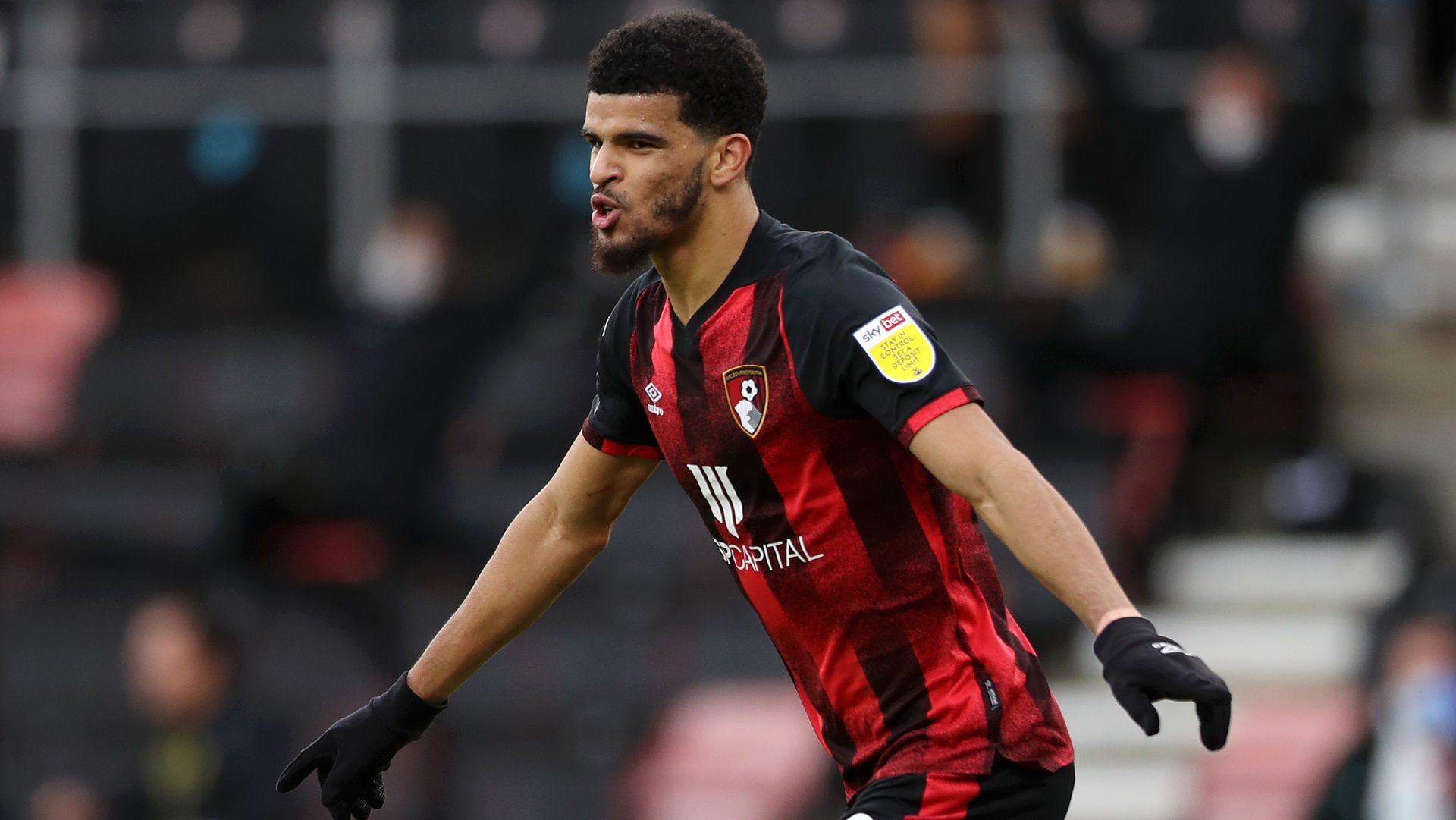 Dominic Solanke of Bournemouth