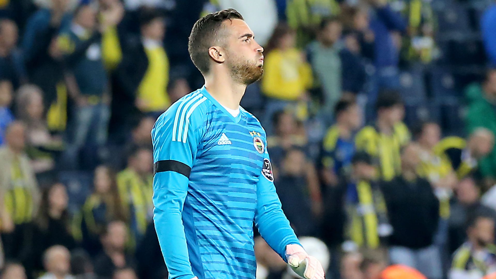 Harun Tekin Fenerbahçe