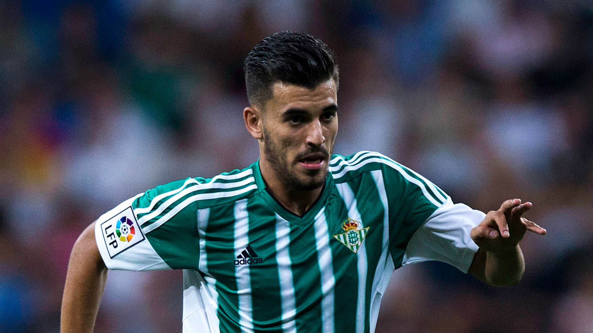 Dani Ceballos Real Betis