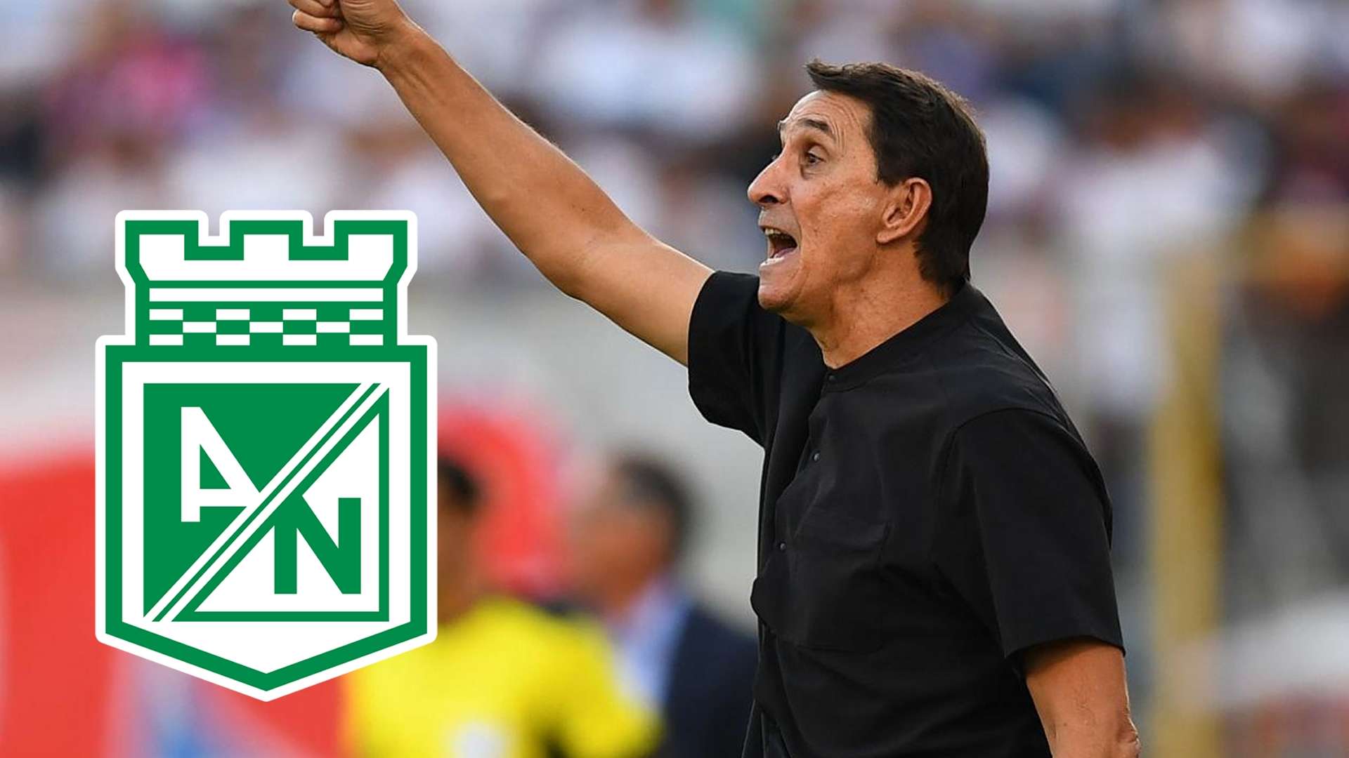 Alexandre Guimaraes Atlético Nacional