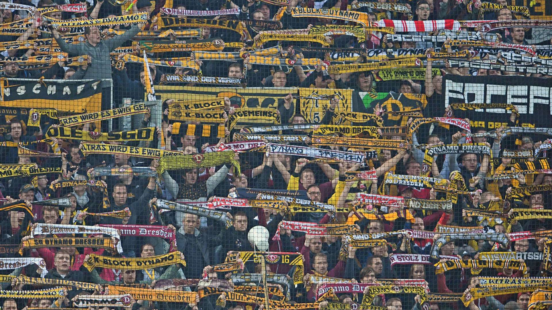 Dynamo Dresden Fans