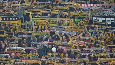Dynamo Dresden Fans