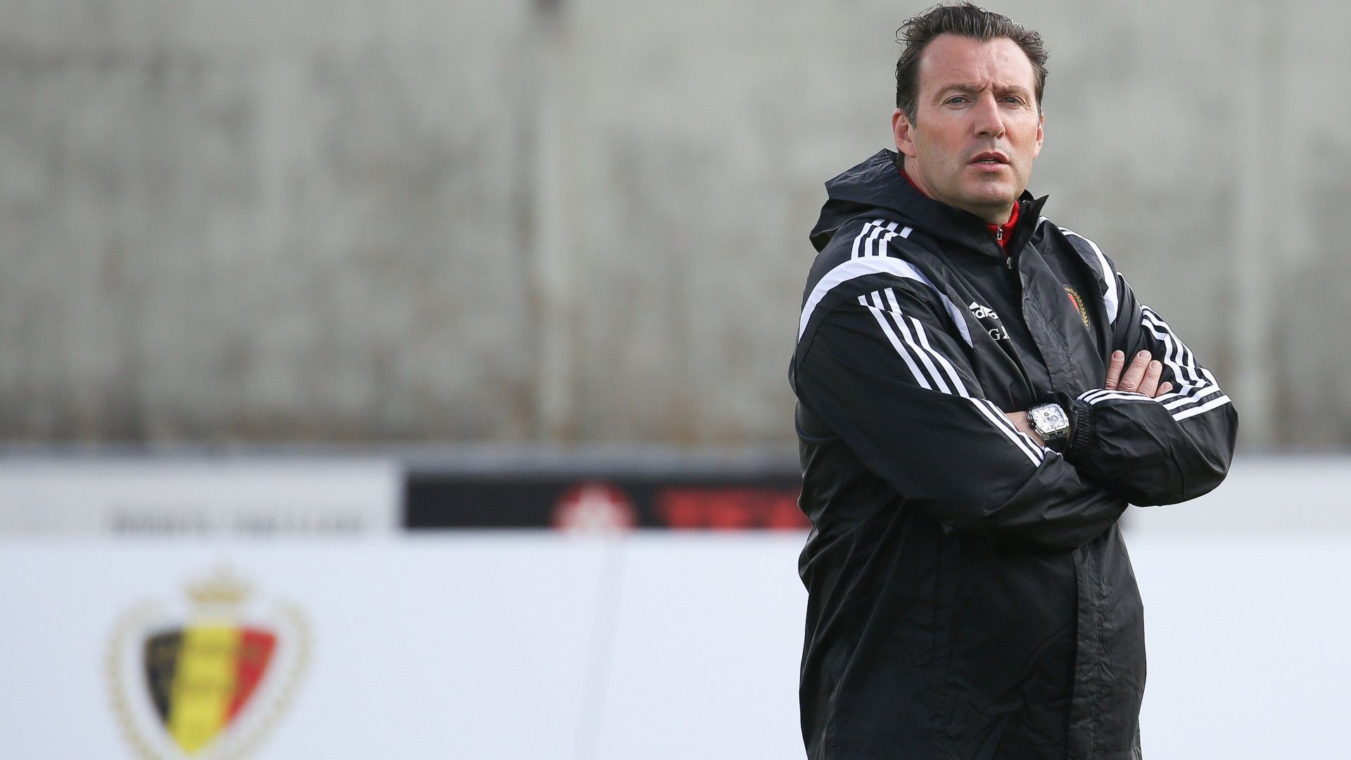 Marc Wilmots Belgien 29052015