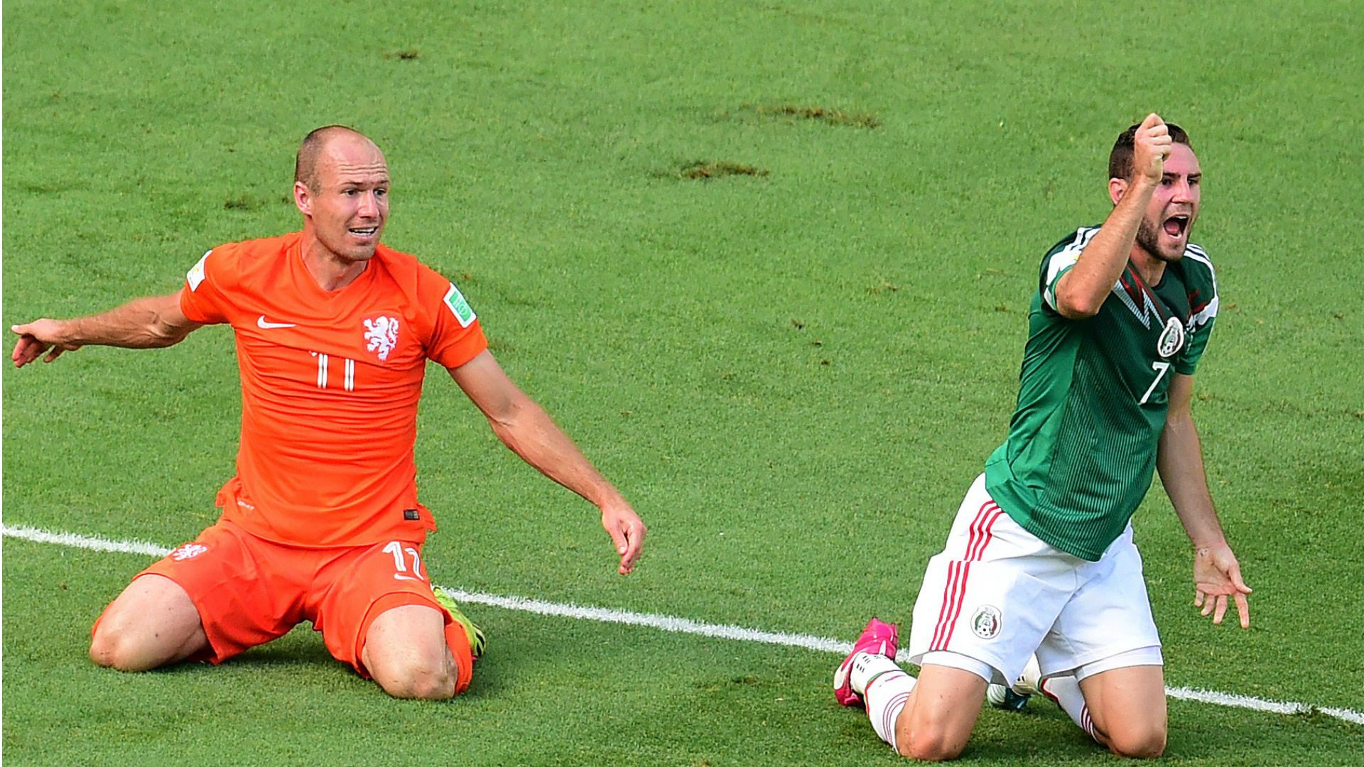 Robben 2014 02 05 2018