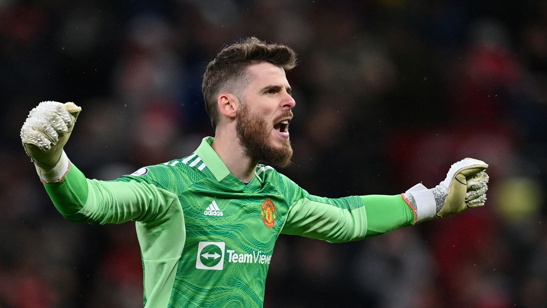 David de Gea - Manchester United 2021/22