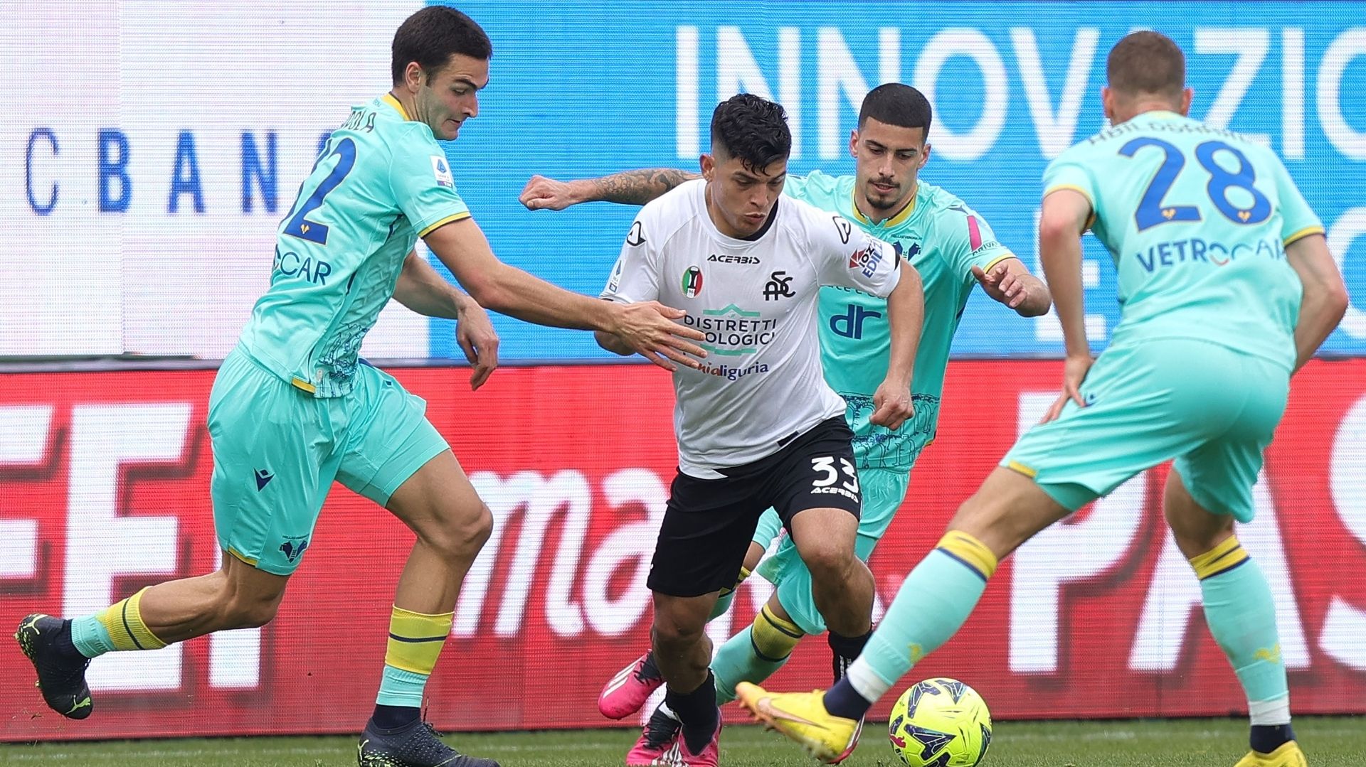 Kevin Agudelo Spezia Verona