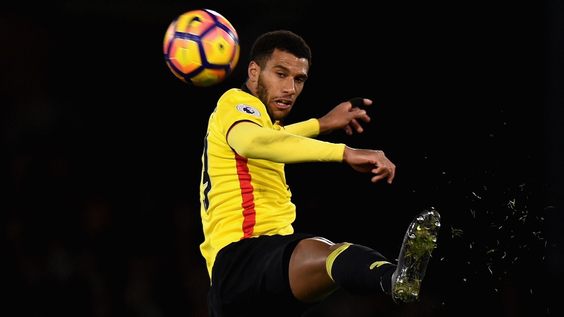 Etienne Capoue, Watford