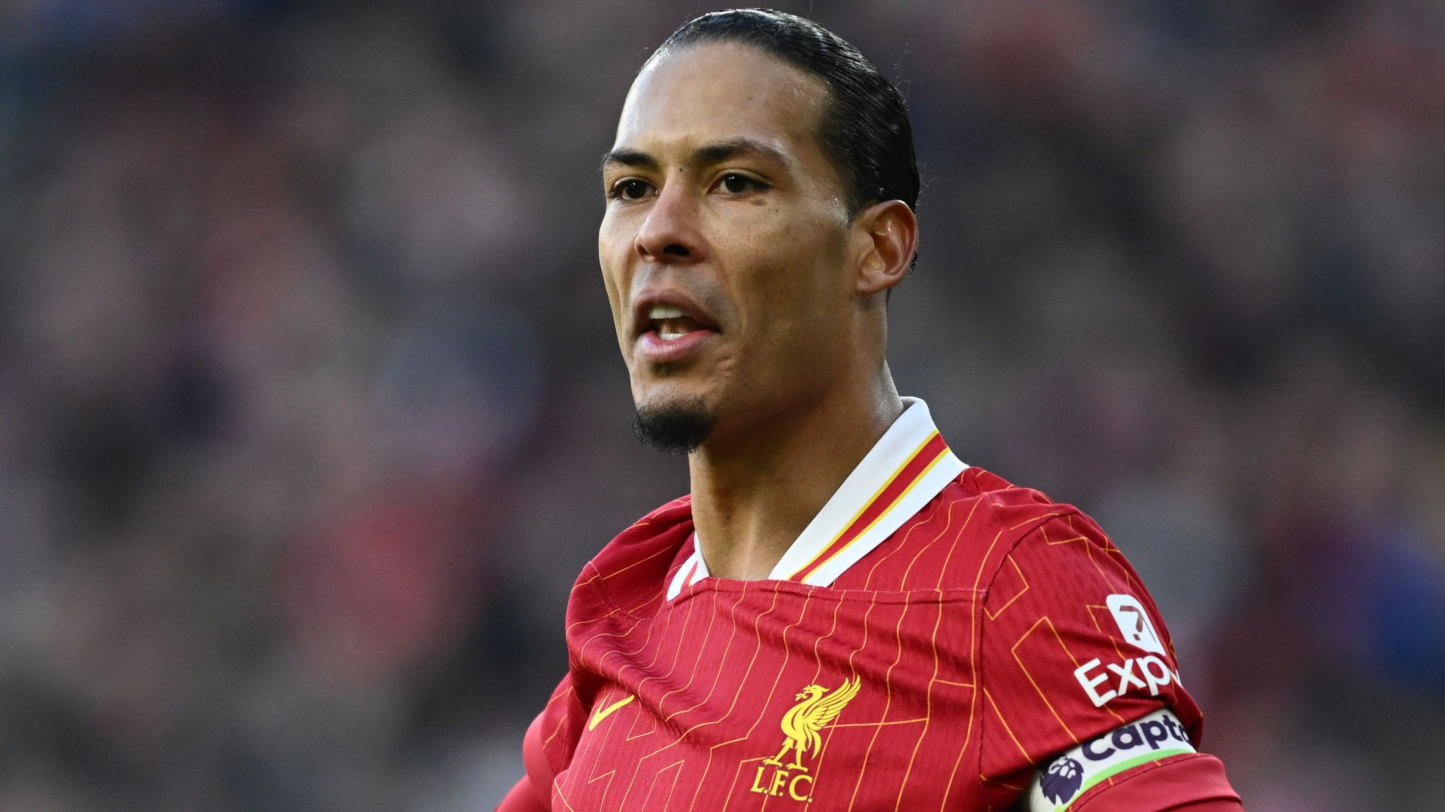 van dijk