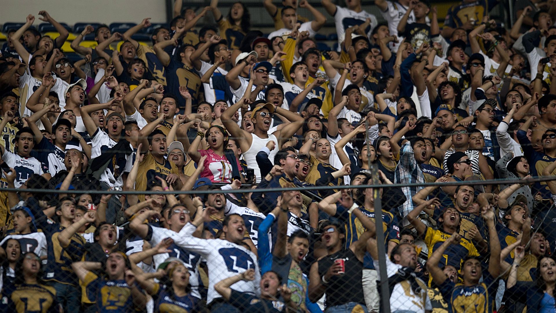 Pumas afición Liga MX