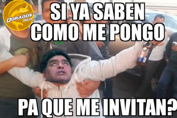 Memes Maradona Dorados