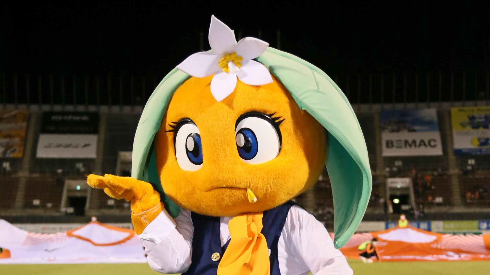 ehime_mascot