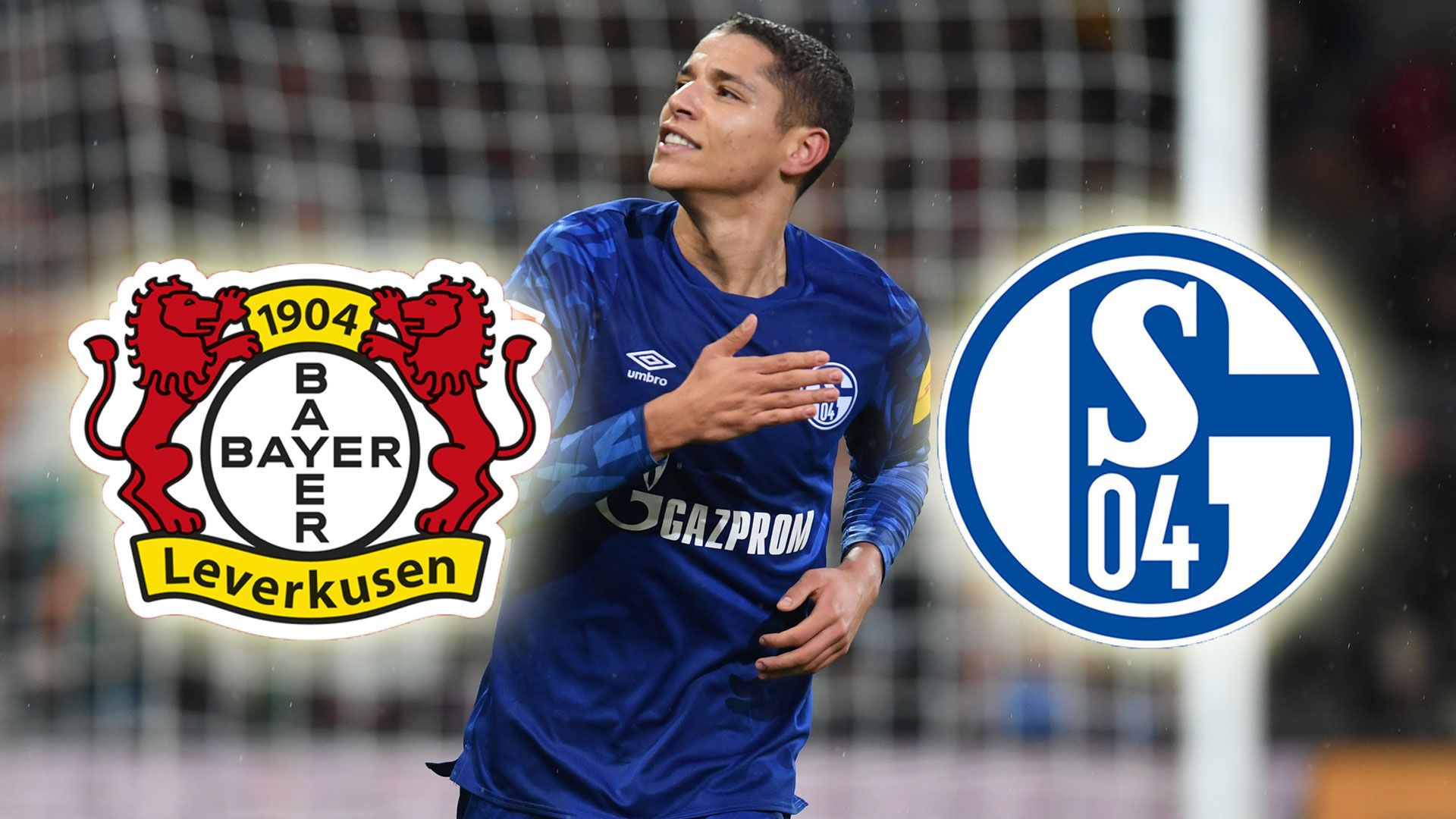 Bayer Leverkusen Schalke 04 LIVE-STREAM TV