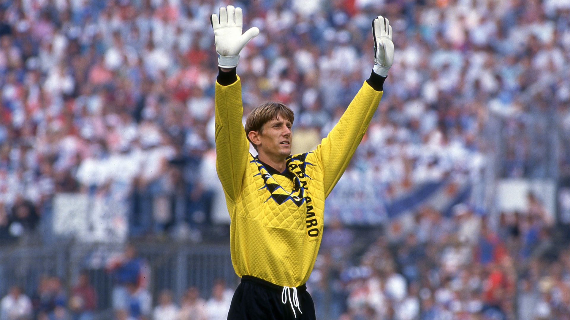 Edwin van der Sar Ajax