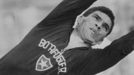 Manga Botafogo Dia do Goleiro