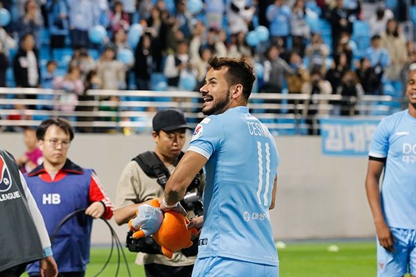 세징야 인형 세리머니