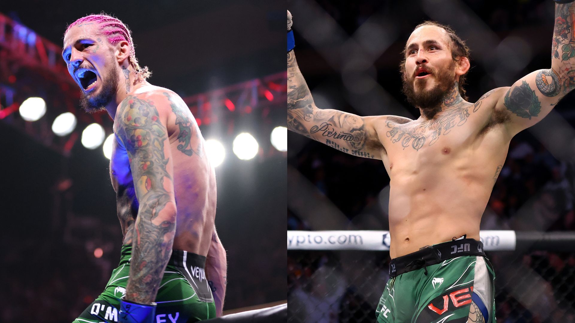 UFC 299 O'Mallet vs Vera 2