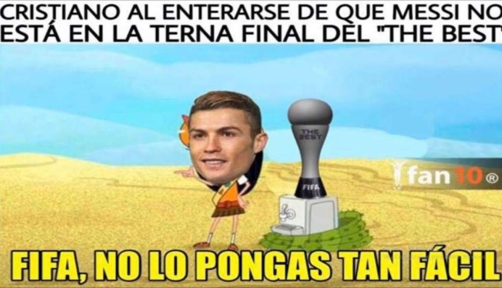 Memes The Best 240918
