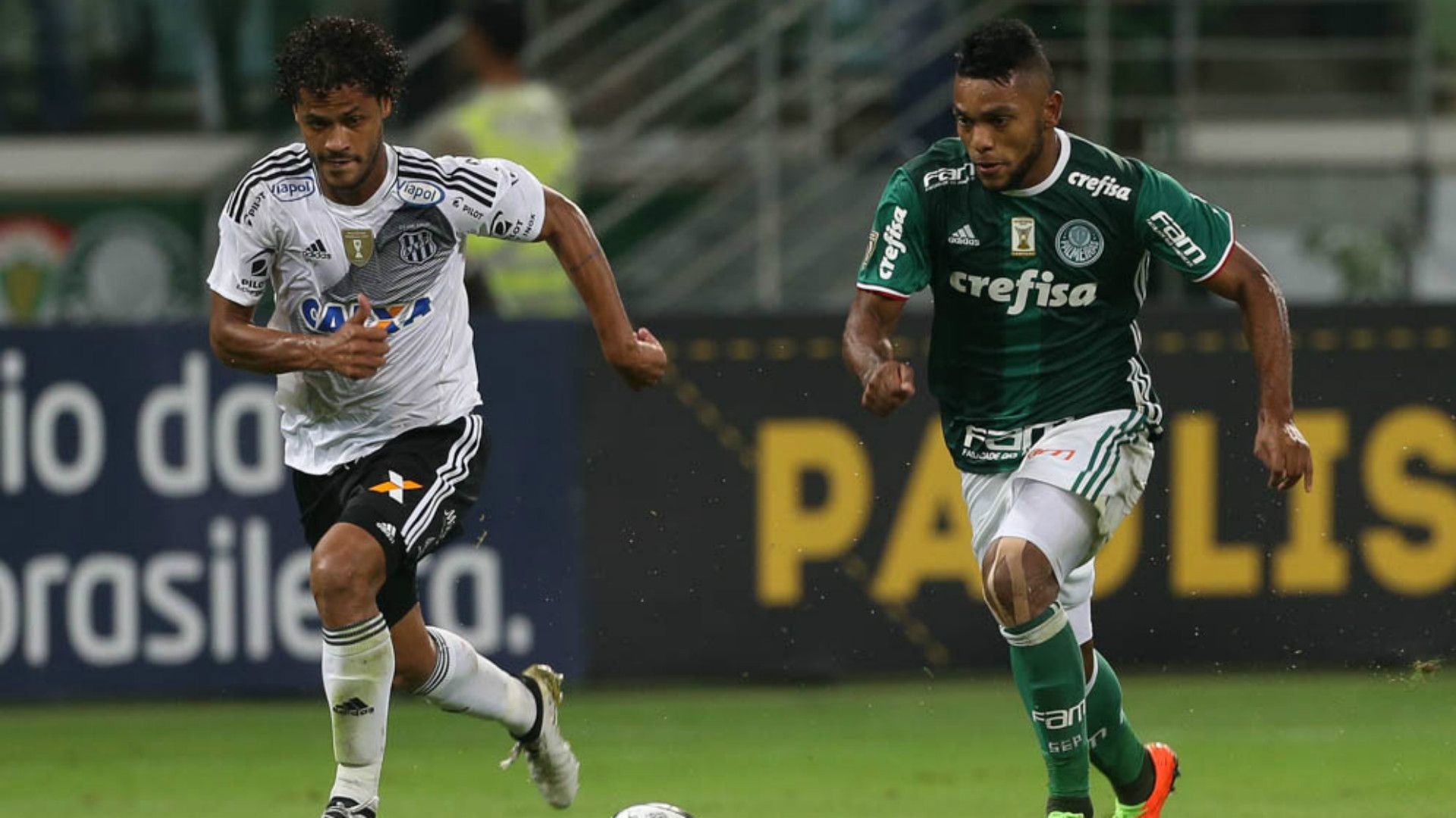 Borja - Palmeiras x Ponte Preta - 22/04/2017